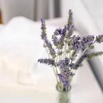Ktima Petrina Volia - Maisonette Petra * Strapouries