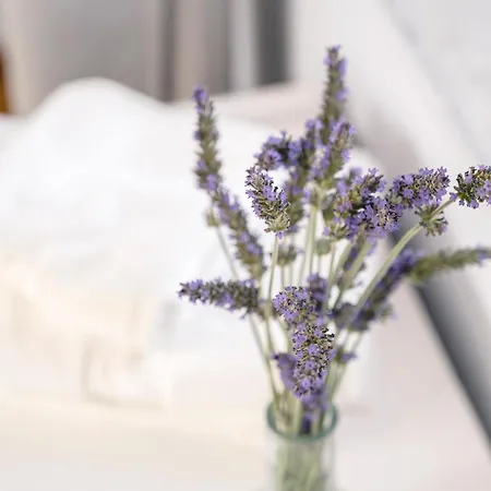 Ktima Petrina Volia - Maisonette Petra * Strapouries